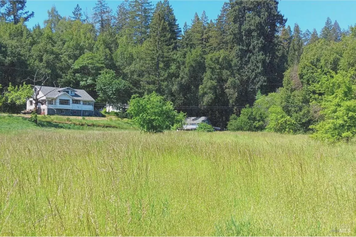 Healdsburg, CA 95448,1194 Felta RD