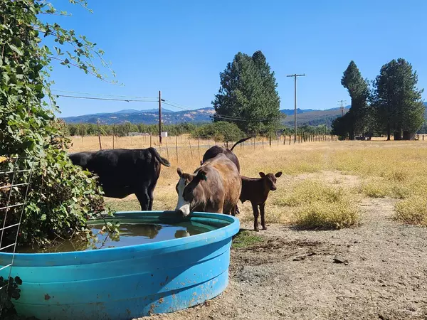 Covelo, CA 95428,74200 Covelo RD