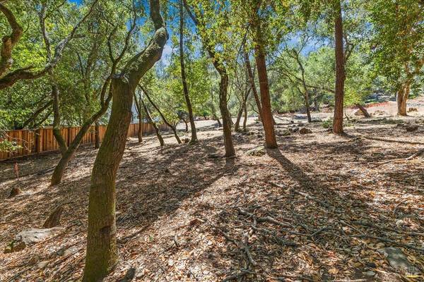 796 Los Olivos RD, Santa Rosa, CA 95404