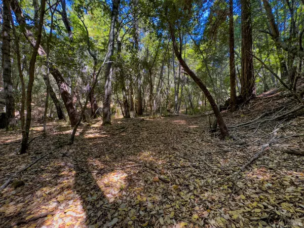 Willits, CA 95490,3700 Redwood Creek RD