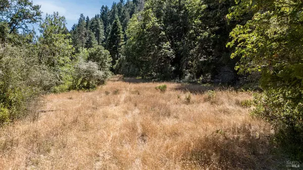 Redwood Valley, CA 95470,19401 Tomki RD