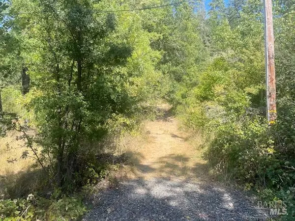 Willits, CA 95490,1591 S Main ST