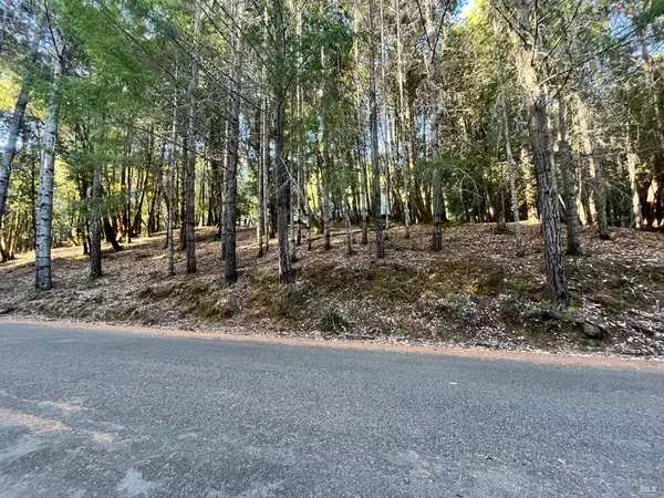 Willits, CA 95490,24250 Buckeye LN