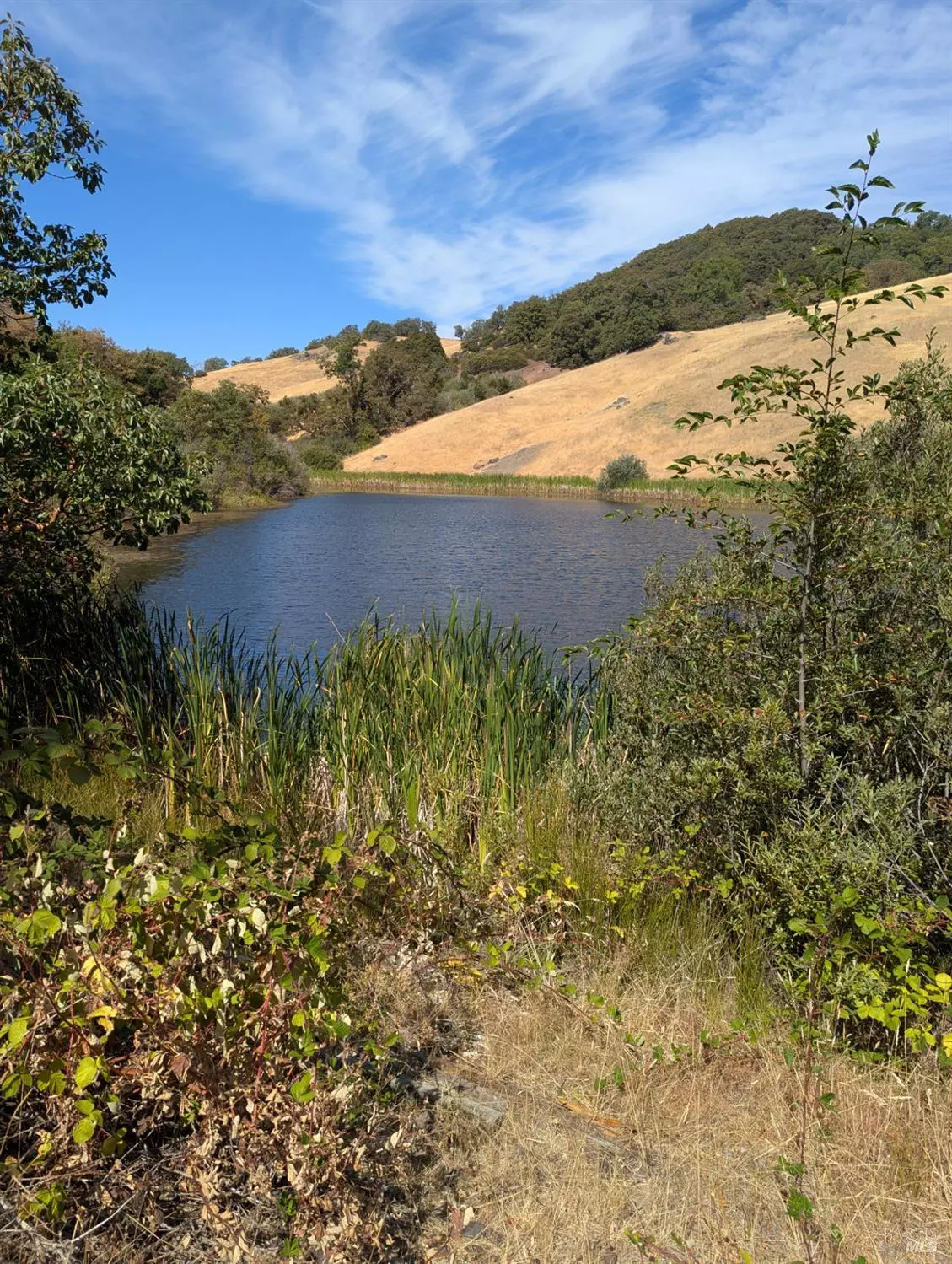 Laytonville, CA 95454,0 Registered Guest RD