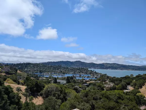 Tiburon, CA 94920,45 Meadow Hill DR