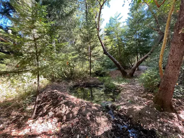 Laytonville, CA 95454,3490 Laytonville Dos Rios RD