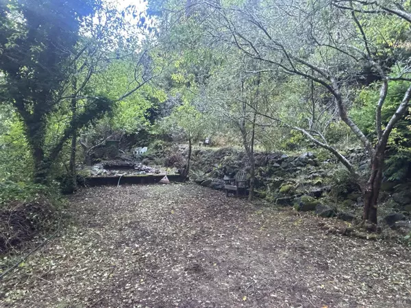 Cazadero, CA 95421,11 Huckleberry HTS