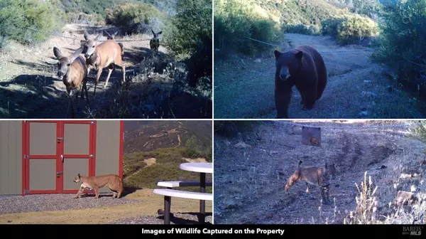 Clearlake Oaks, CA 95423,5250 15 N 05 RD