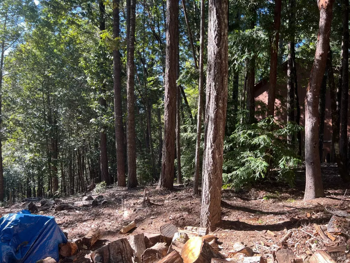 Willits, CA 95490,27178 Bear DR