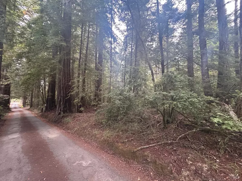 0 Law RD, Mendocino, CA 95460