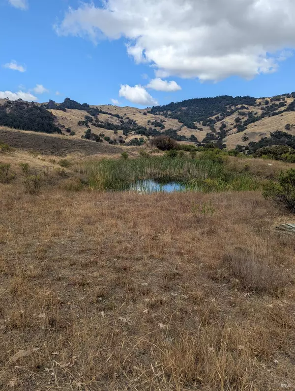 Laytonville, CA 95585,59202 George Washington Rock RD