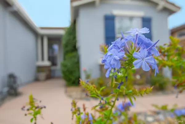 Rio Vista, CA 94571,536 Quail Walk WAY
