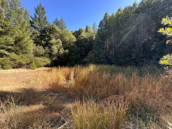 Laytonville, CA 95454,51901 Stivers RD