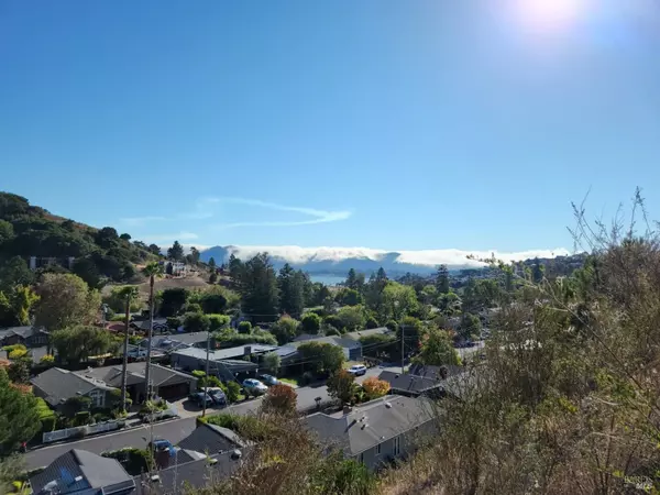 Tiburon, CA 94920,53 Mercury AVE