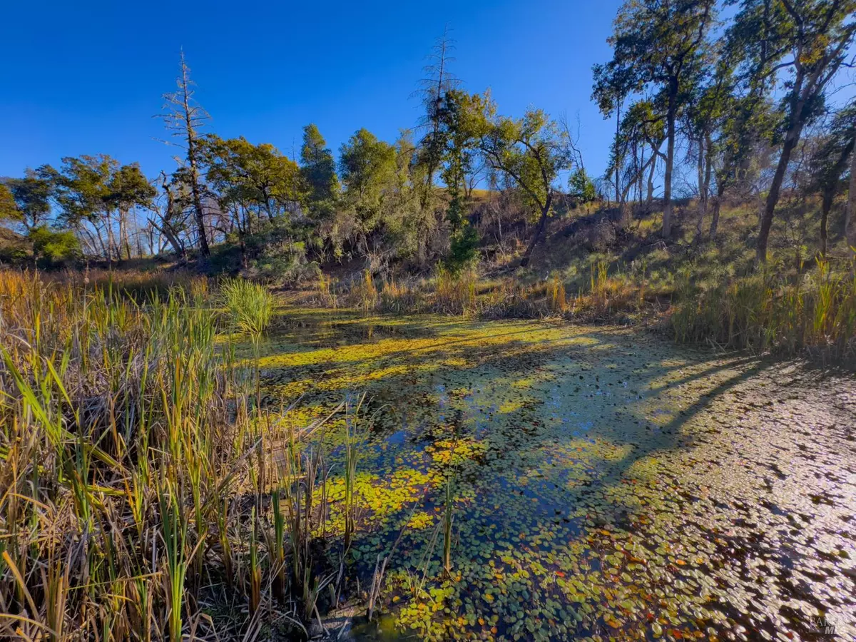 Willits, CA 95490,9501 Big John RD