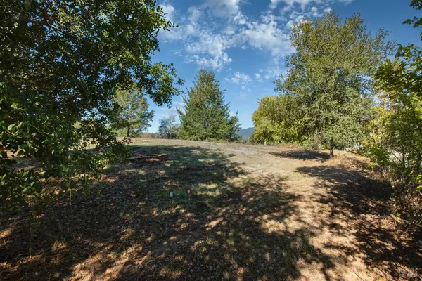 Forestville, CA 95436,0 Covey & Davis RD