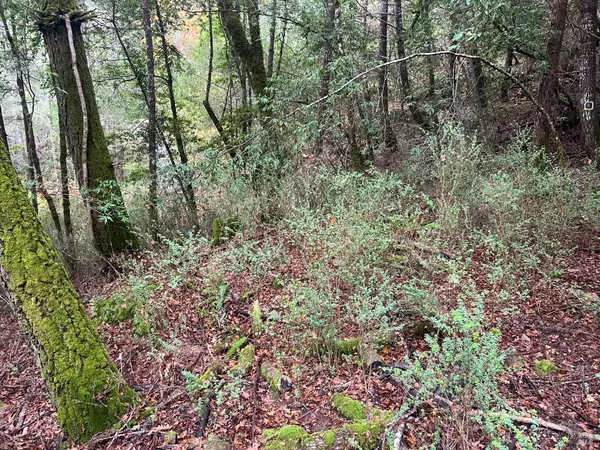 Cazadero, CA 95421,6075 Austin Creek RD