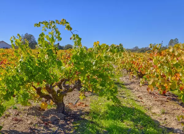 Santa Rosa, CA 95401,1623 Willowside RD