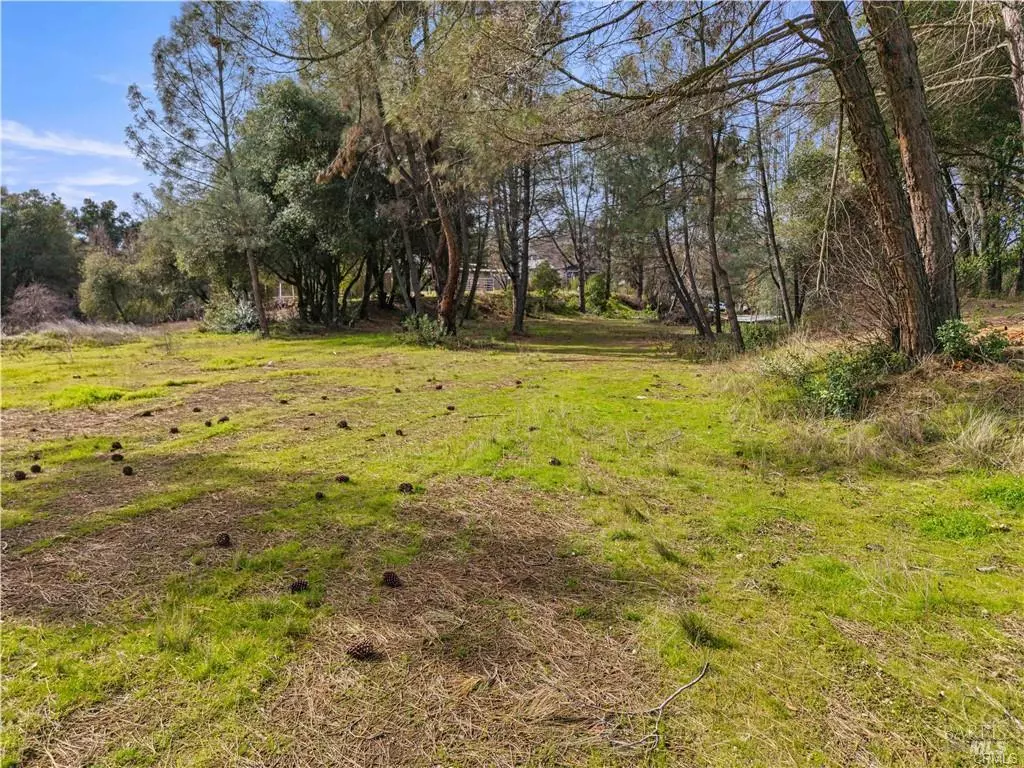 Clearlake, CA 95422,4820 Old Highway 53