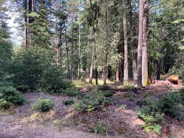 Jenner, CA 95450,22103 Umland CIR