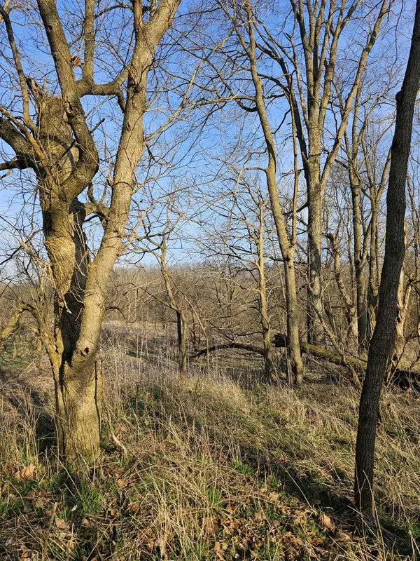 Laurel, IN 47024,0 Stipps Hill Road