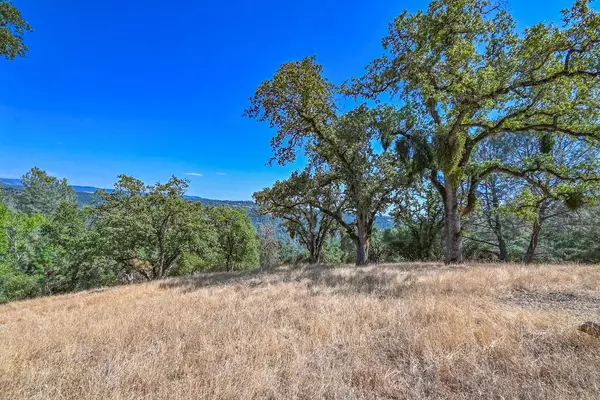 5300 Hanks Exchange RD, Placerville, CA 95667