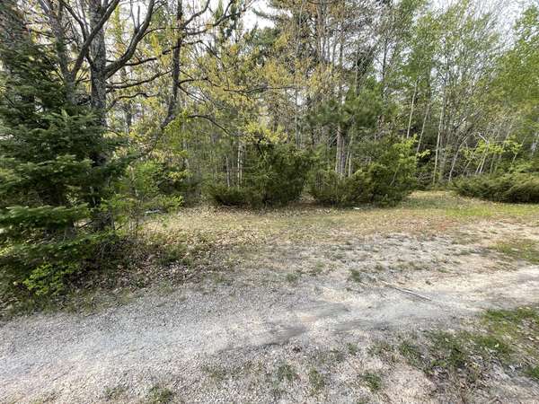 6622 Davies AVE 6.24 +/- Acres,  Tower,  MI 49792