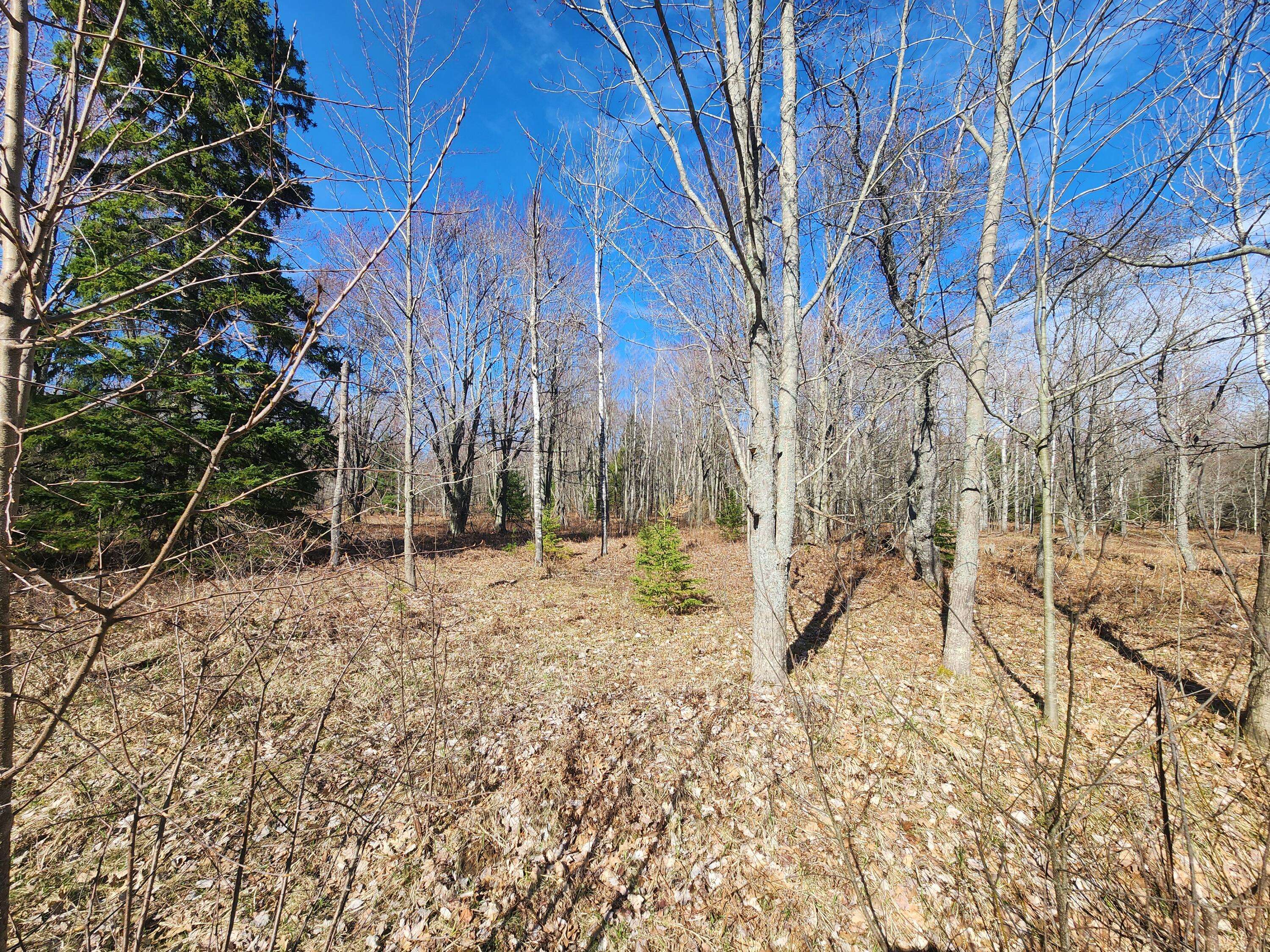 Lot 1829 Sandpiper TRL, Gaylord, MI 49735