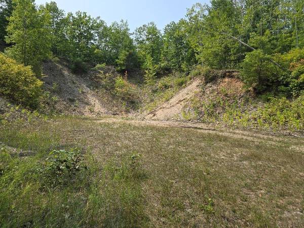 Lake May RD 10 + Acres,  Hawks,  MI 49743