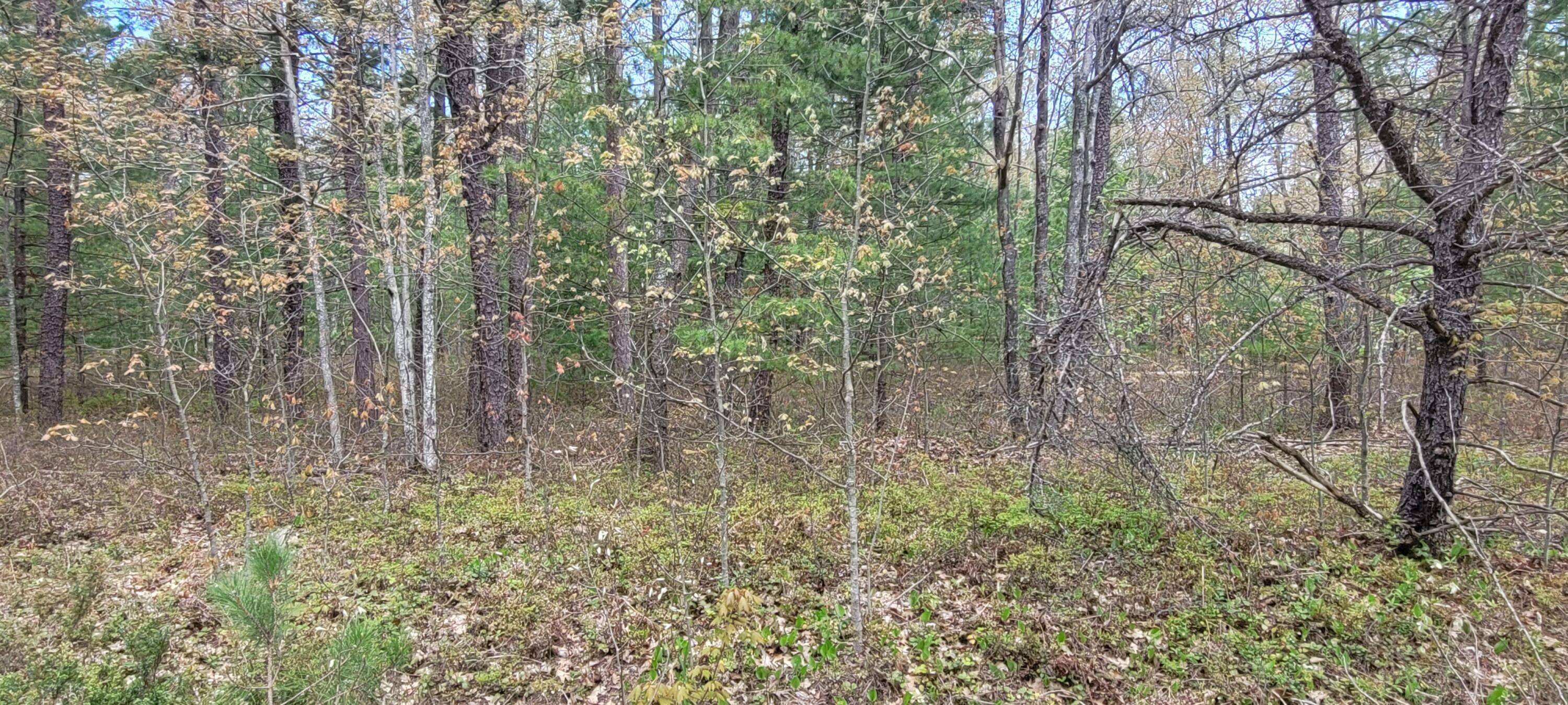 Sioux TRL Lot 97,  Rogers City,  MI 49779