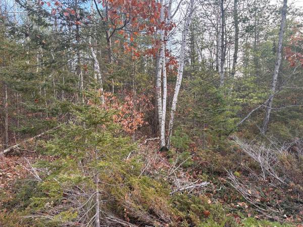 Lot 90 Laurelhill CIR,  Presque Isle,  MI 49777