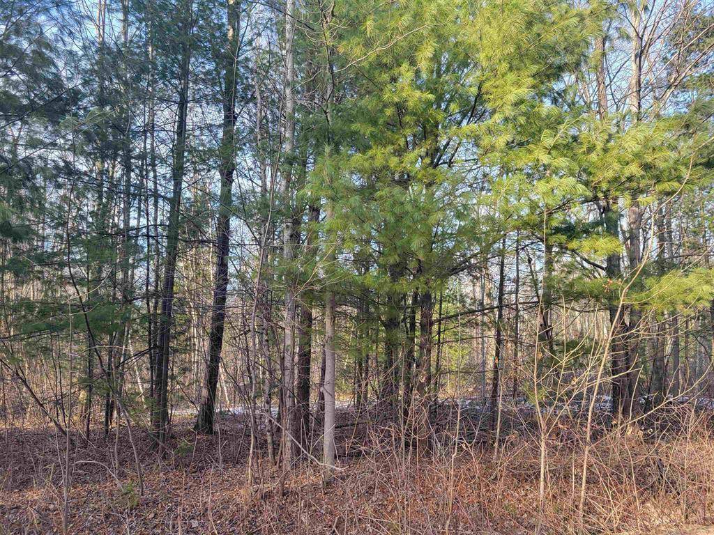 1090 Frank ST, Beaverton, MI 48612