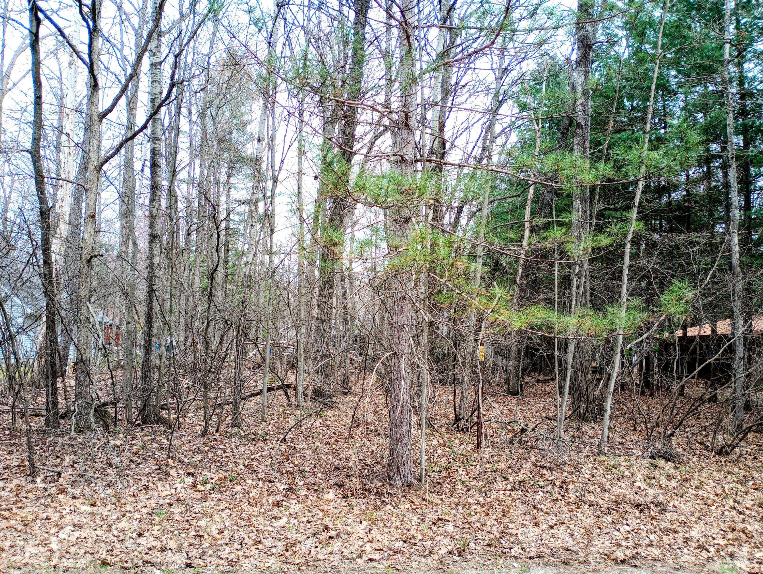 Lot #424 Pepperell AVE, Houghton Lake, MI 48629