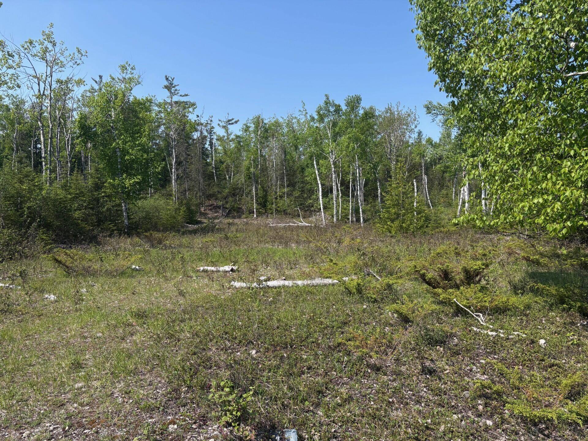 Lot 306 Bay Shore DR, Presque Isle, MI 49777