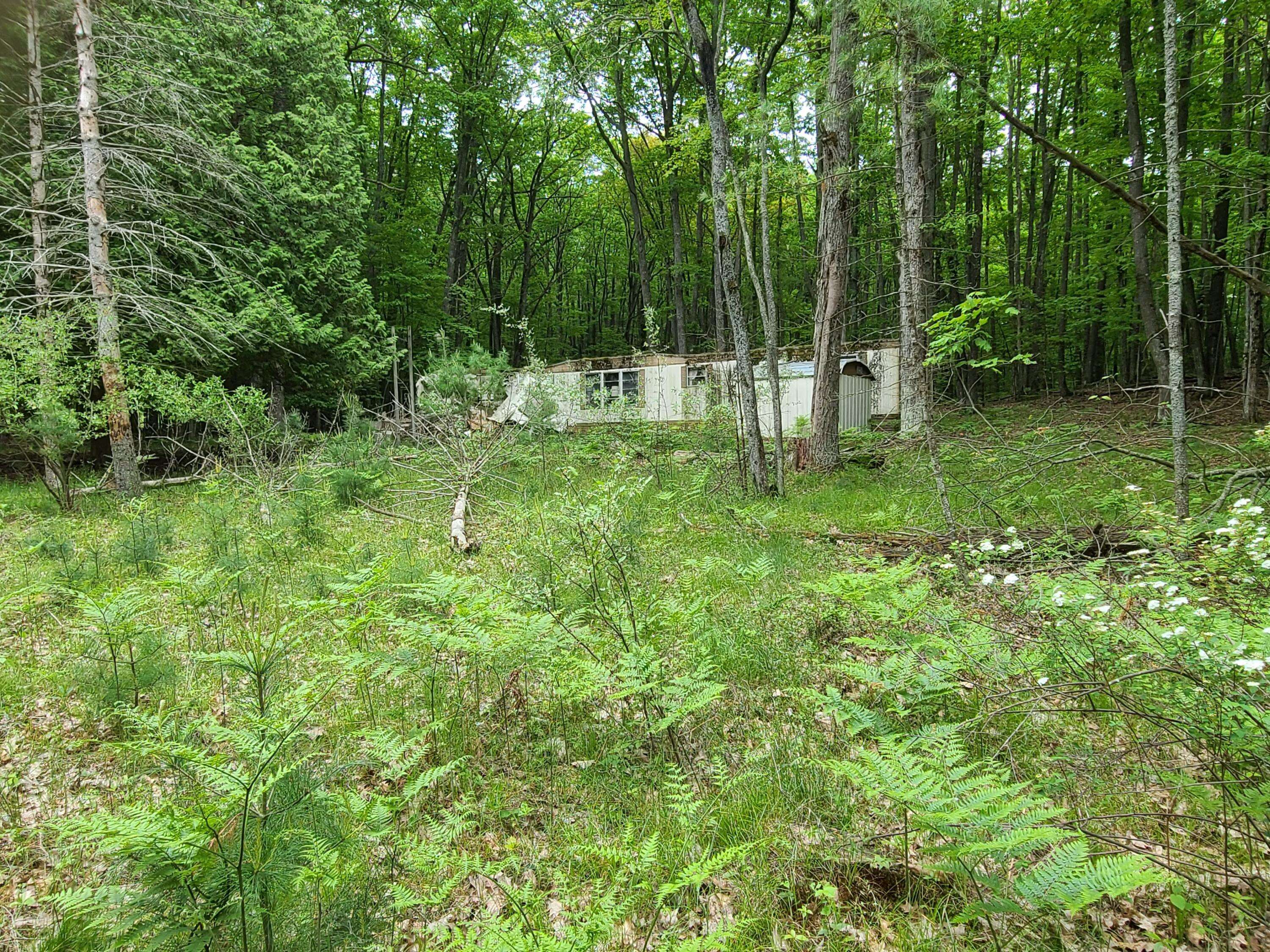 5072 E Holmes RD, Harrisville, MI 48740