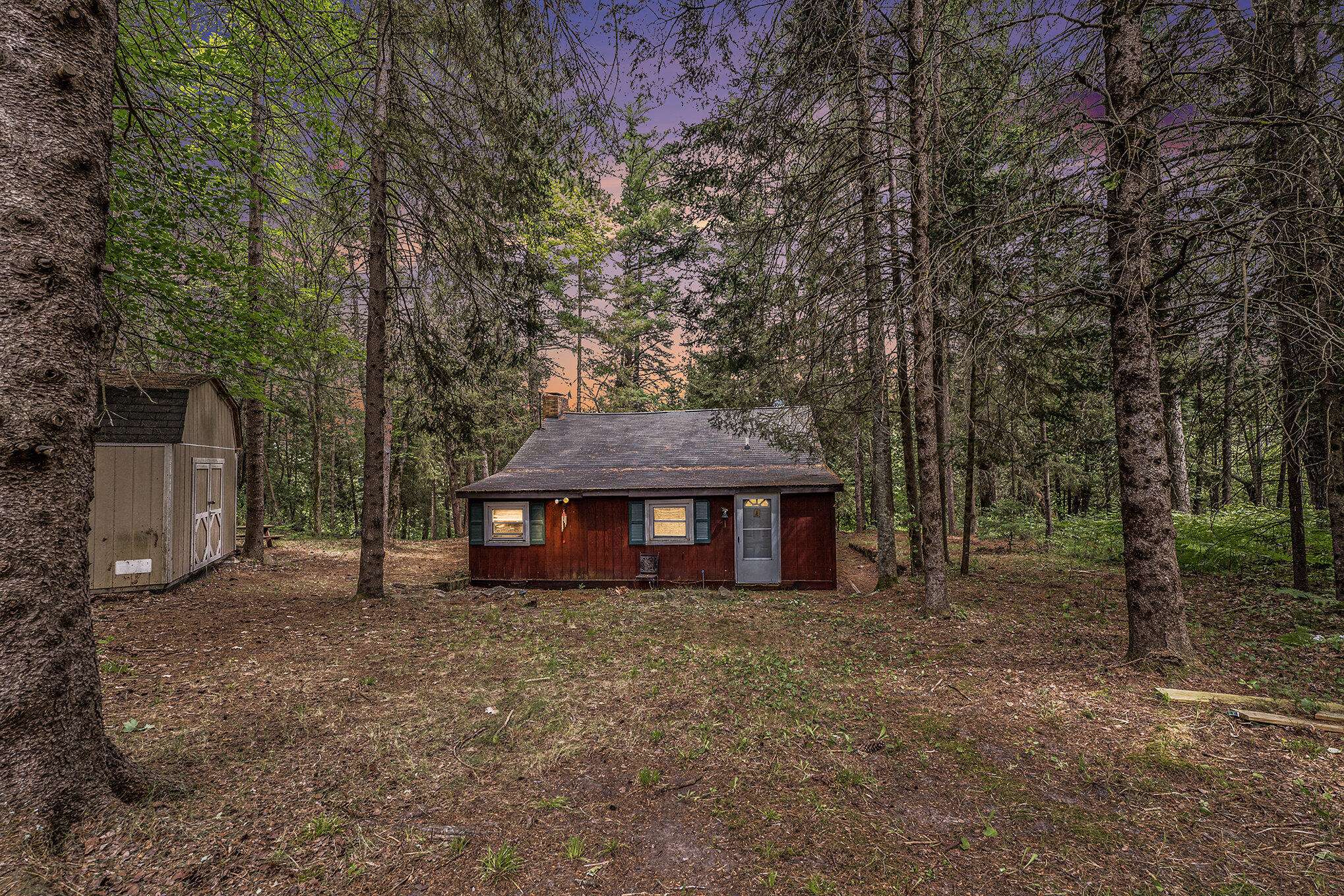 8110 Nature Ridge TRL, Vanderbilt, MI 49795