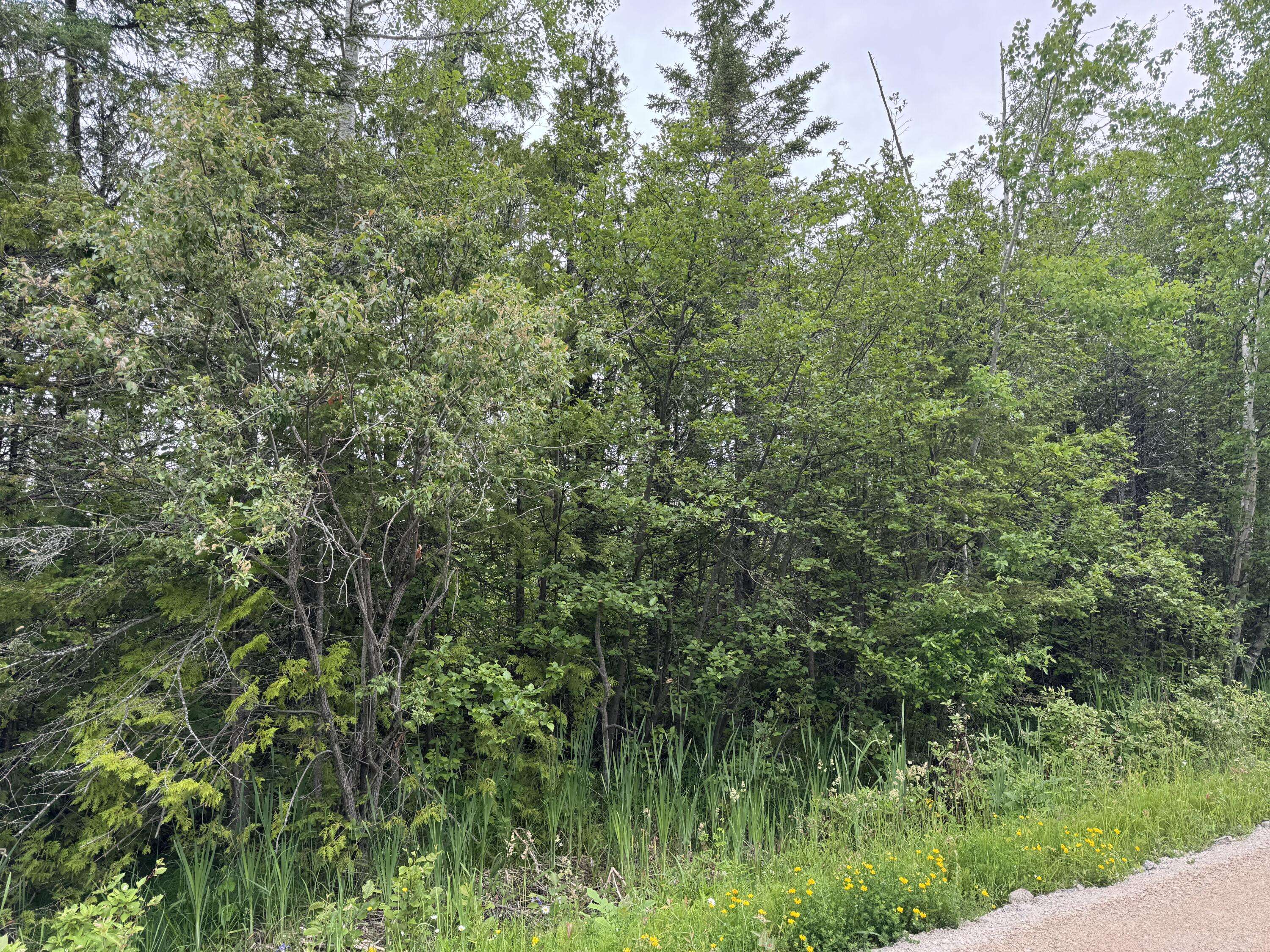 9 acres Brevort Lake RD, Moran, MI 49760