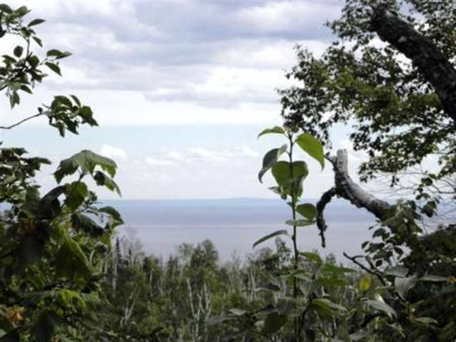 Silver Bay, MN 55614,6084 Whitetail Ridge Rd