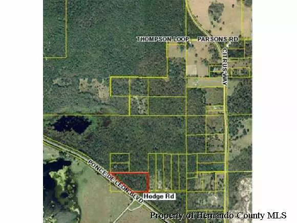 Brooksville, FL 34601,0 Ponce De Leon & Hodge Road