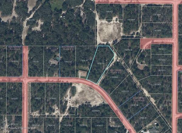 00 Sage Thrasher Avenue, Weeki Wachee, FL 34614