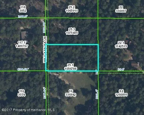 Brooksville, FL 34601,0 Wild Azalea Lane