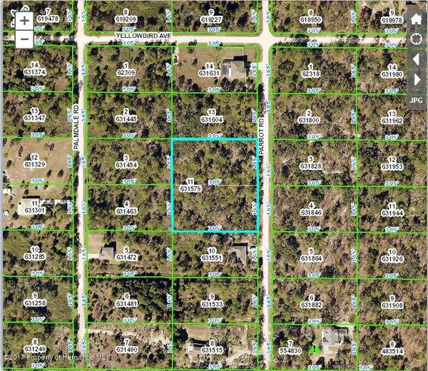 0 Parrot Road, Weeki Wachee, FL 34614