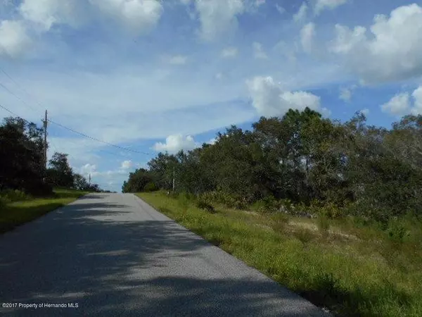 Spring Hill(pasco), FL 34610,0 Sand Pine