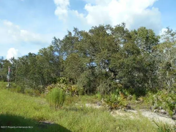 Spring Hill(pasco), FL 34610,0 Sand Pine