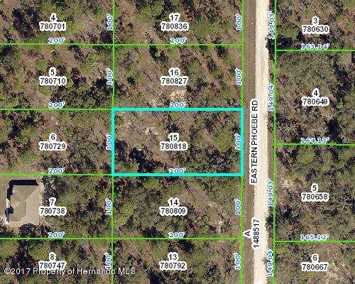 0 Eastern Phoebe Road, Weeki Wachee, FL 34614