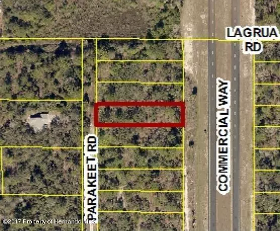 Weeki Wachee, FL 34614,0 Commercial Way Lot 4