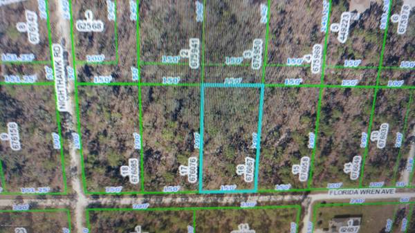 LOT 16 FLORIDA WREN AVENUE, Brooksville, FL 34614