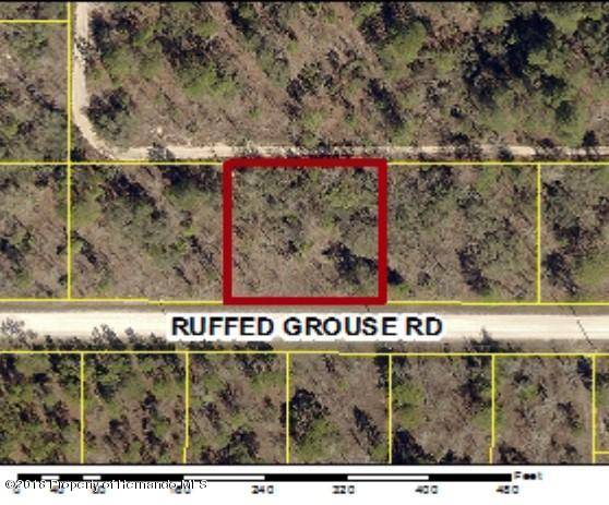 0 Ruffed Grouse Road, Weeki Wachee, FL 34614