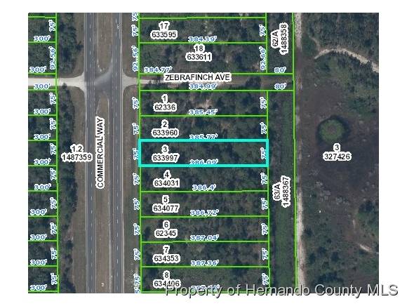 0 Commercial Way, Weeki Wachee, FL 34613