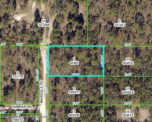 000 Mairdale Road, Weeki Wachee, FL 34614